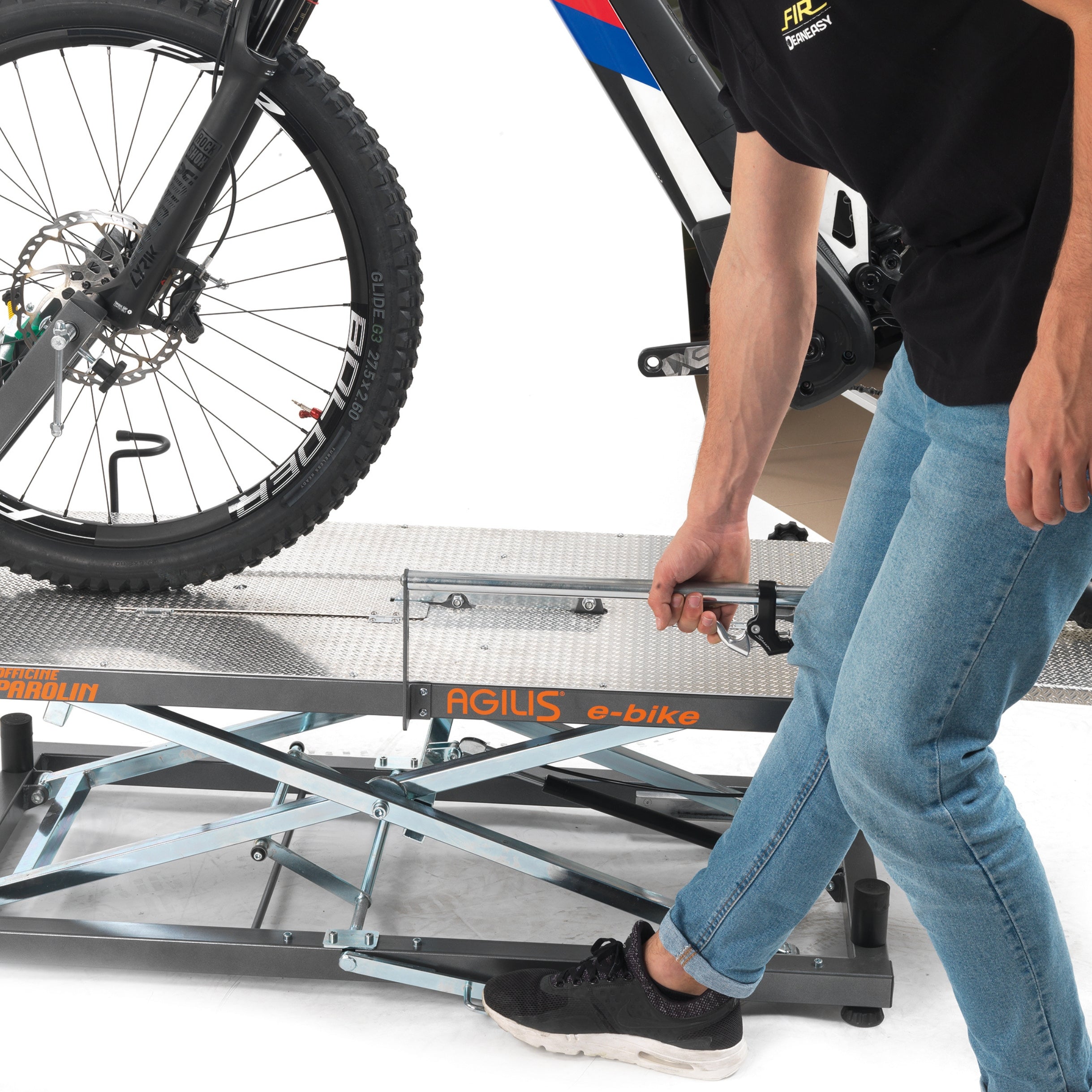 Agilis Agilis Entry1